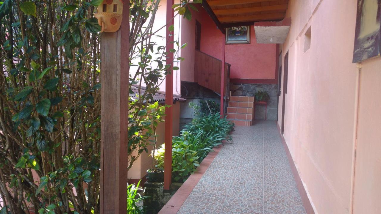 Posada Del Bosque バジェ・デ・ブラボ エクステリア 写真